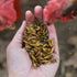 Happy Hen Grub Frenzy Globally Sourced 30oz - Poudre Pet & Feed Supply 2